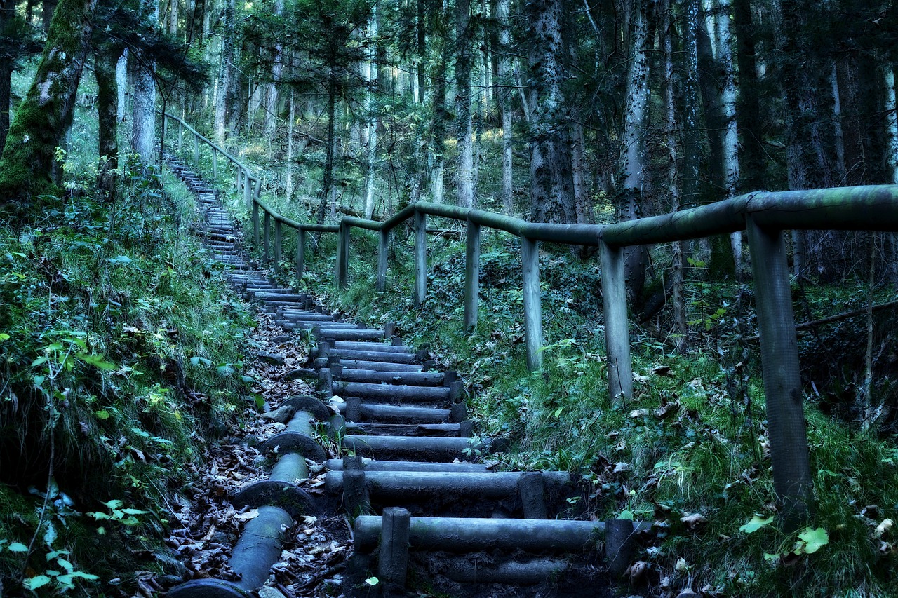 池州KW，探索與發(fā)現(xiàn)的神秘之旅